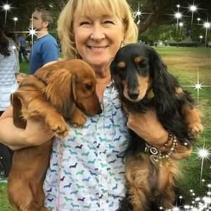 Meet your Posher, Frances